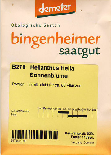 Sonnenblume Helianthus Hella
