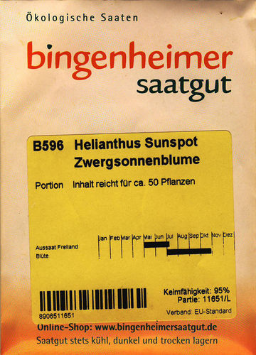 Zwergsonnenblume Helianthus Sunspot